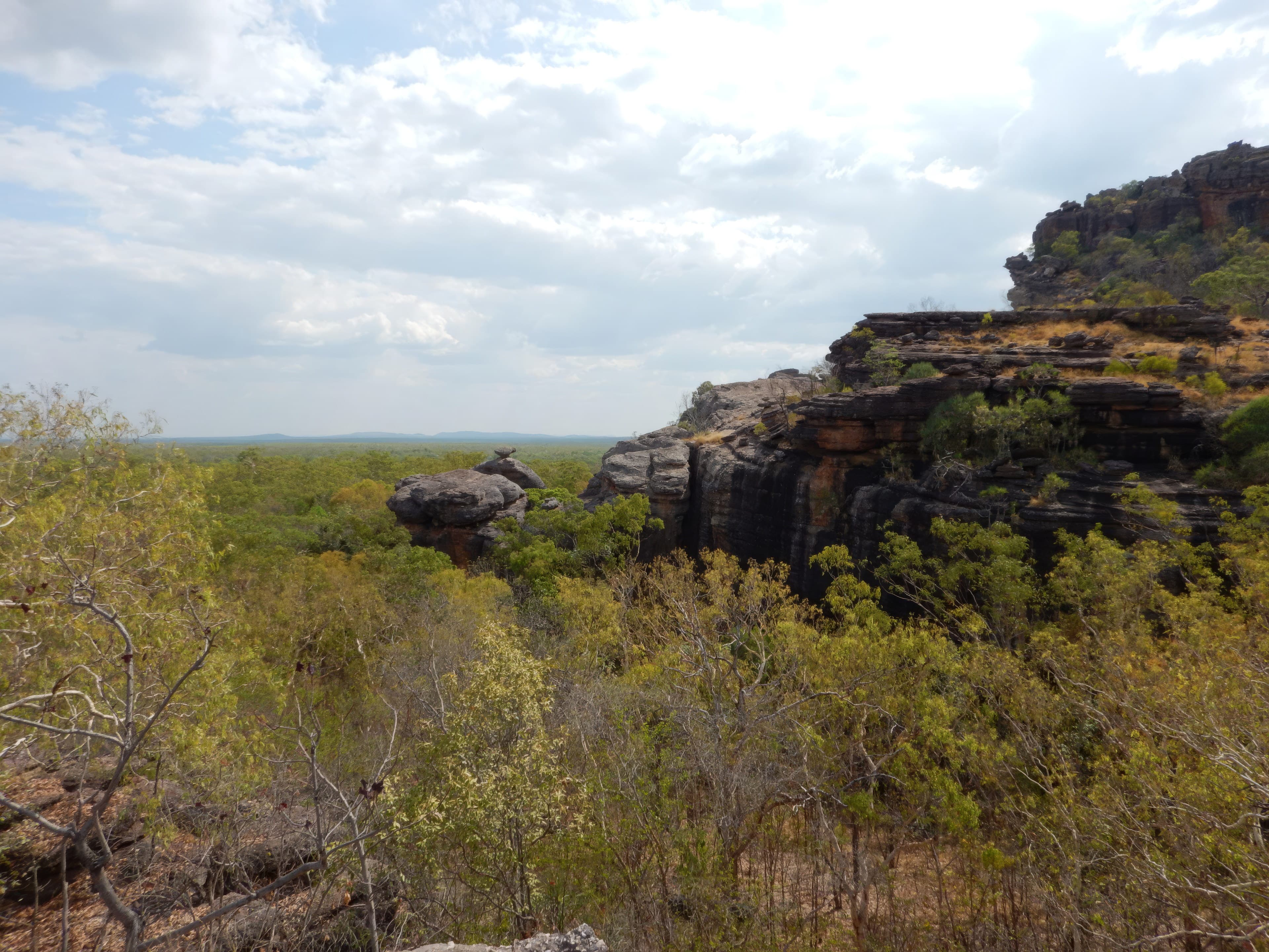 Sandstone escarpment above bushland in the Sydney basin