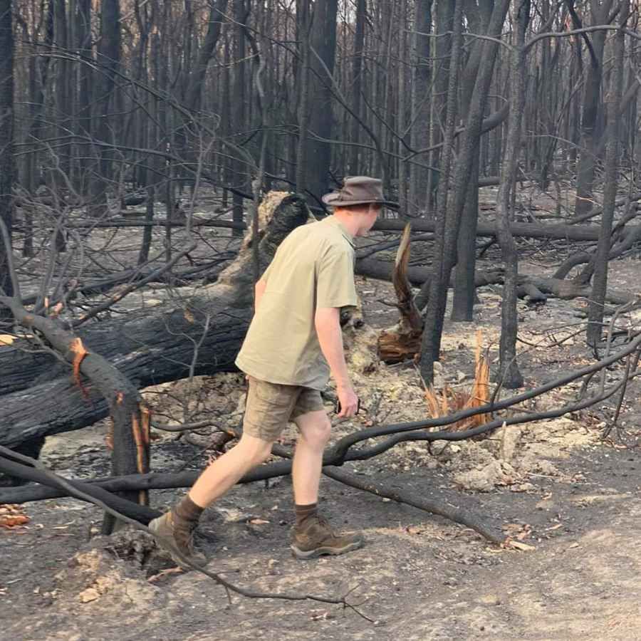 A regenerator working through fire-affected bushland