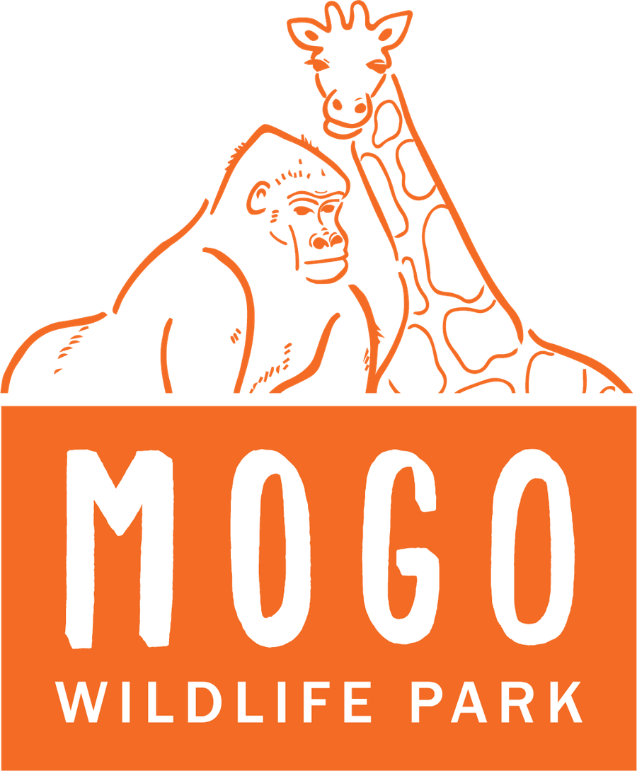 Mogo Wildlife Park